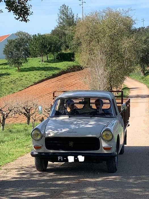 Peugeot 404 pick-up