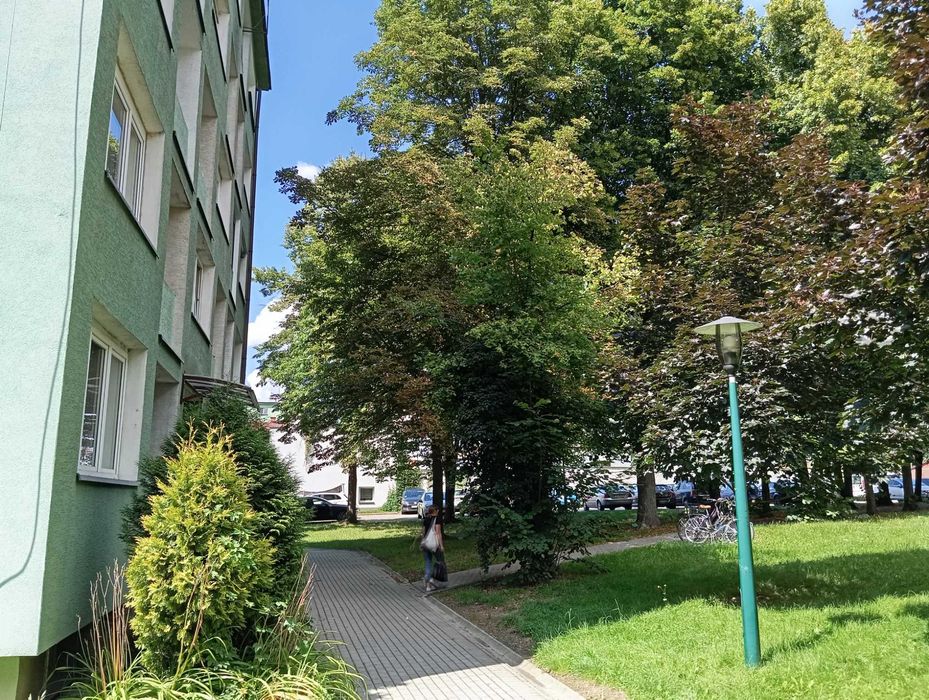 Wynajmę mieszkanie 30 M2 Czechowice-Dziedzice ul. Legionów 103