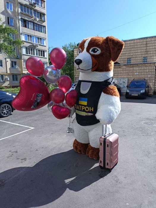 Оренда Костюму Пса Патрона