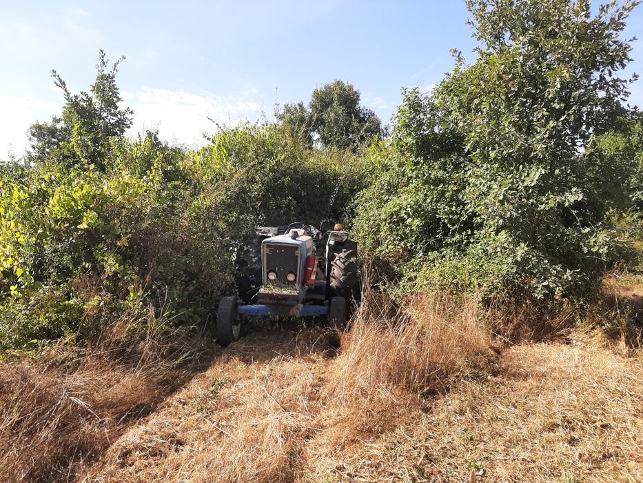 limpeza de terrenos