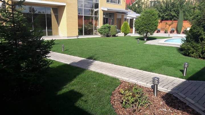 Аэрация, вычесывание.Озеленение. Укладка рулонного газона. Ландшафт.