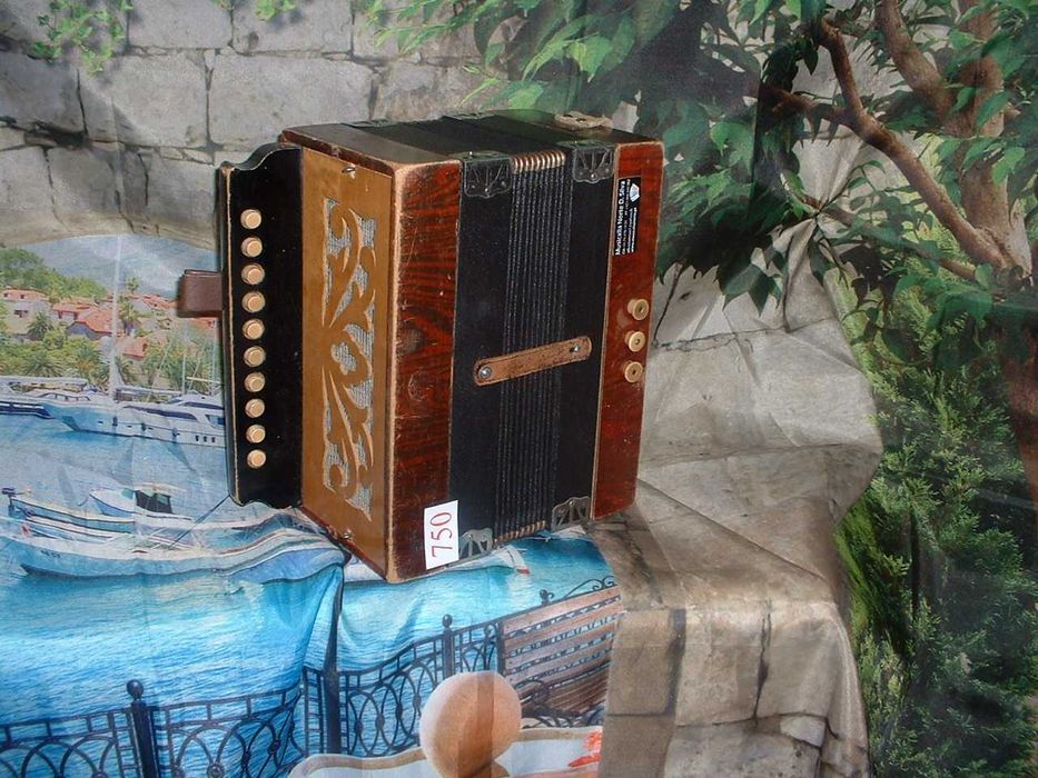 Concertina para venda N, 750 Penedono • OLX Portugal