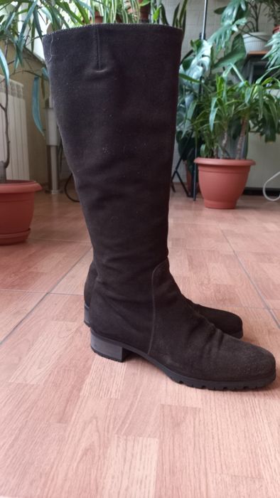 Сапоги женские замшевые