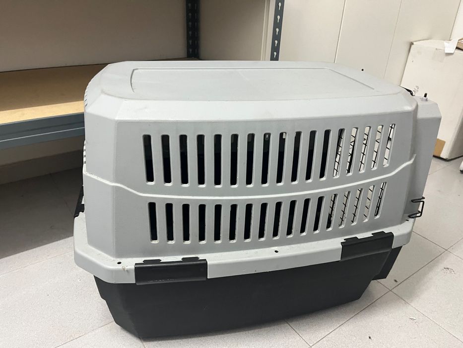 Transportadora animal / cães
