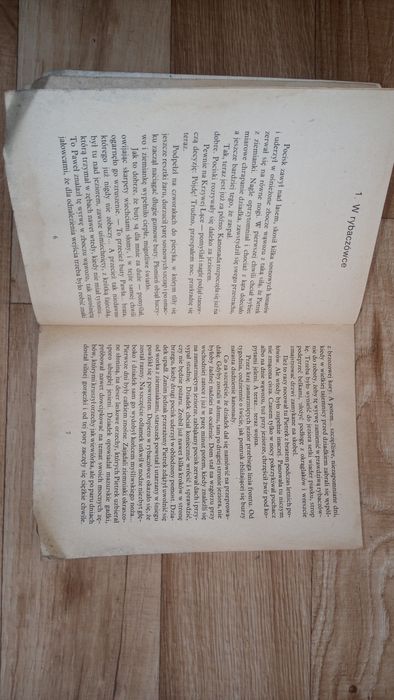 Książka Igor Sikirycki Pietrek z puszczy piskiej wydawnictwo łódzkie