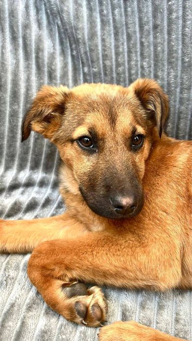 Неймовірно ніжна Амі шукає найкращих людей!