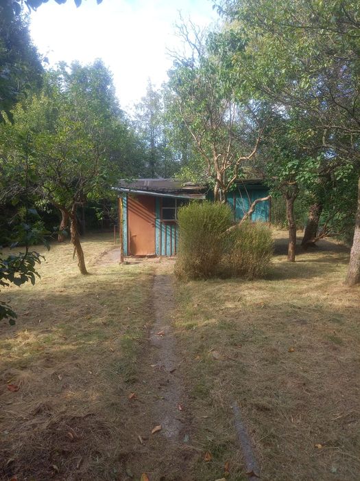 Działka ROD  Sucharskiego Wejherowo -  zielona, spokojna okolica.