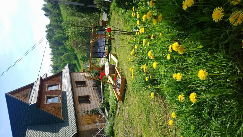 FERIE w" MIODOWEJ CHATCE"-pokoje gościnne -Brzegi, Jurgów, Bukowina