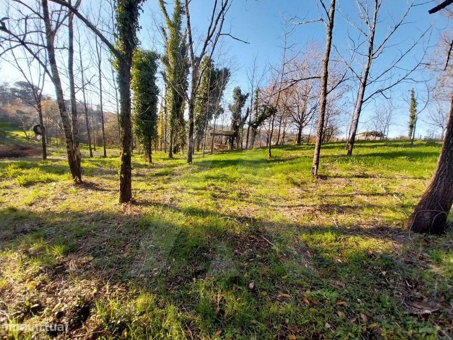 Terreno em Jafafe - Macinhata do Vouga