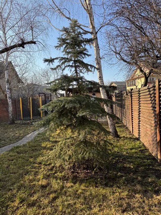 ПРОДАЖ затишного будинку 110 м кв + 3,5 сотки в Оболонському районі Києва всього в 300 метрах від р. Дніпро !! - Більше