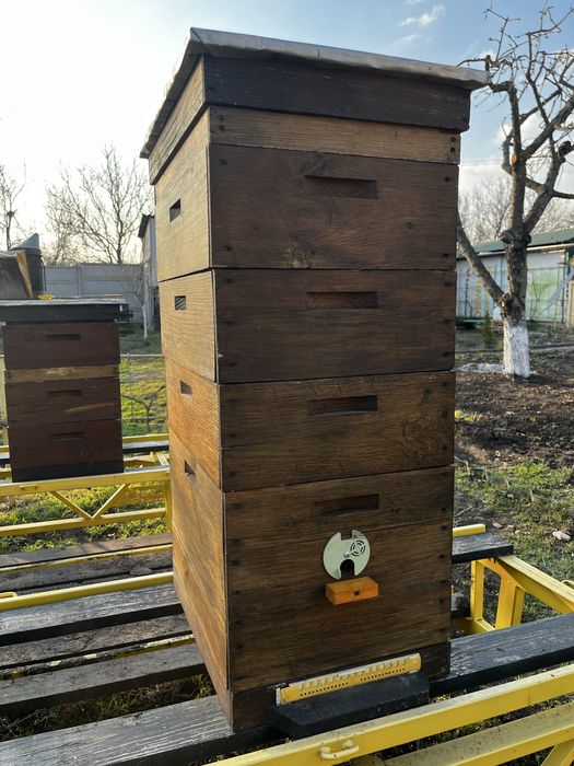 Продам 8-ми рамкові вулики