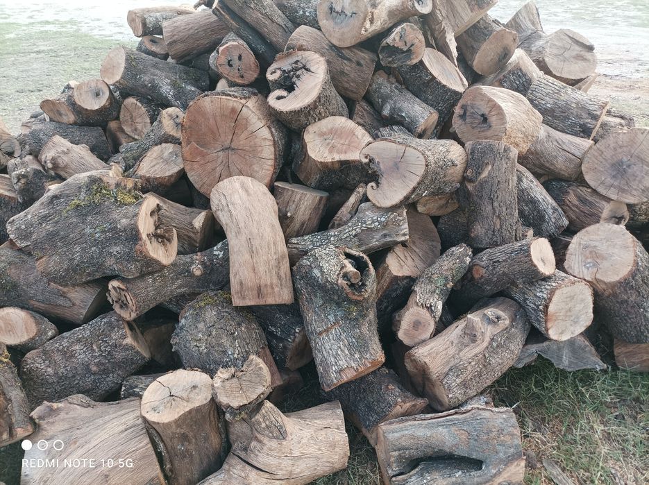 Lenha, Carvão & dirivados