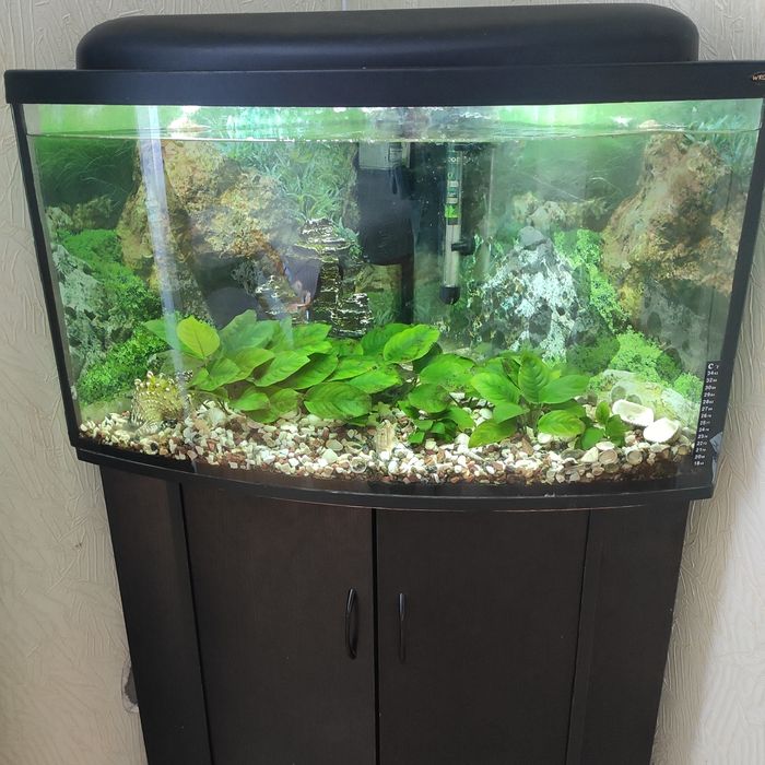 Кутовий акваріум 75л.