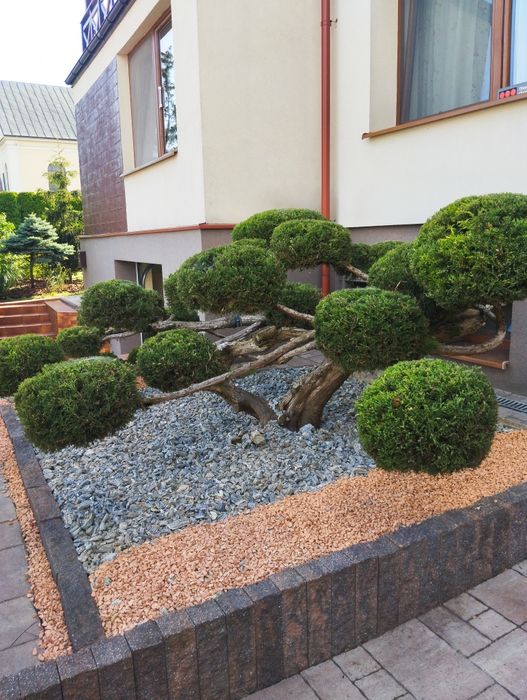 Usługi ogrodnicze Glebogryzarka separacyjna Wertykulacja  Przycinki