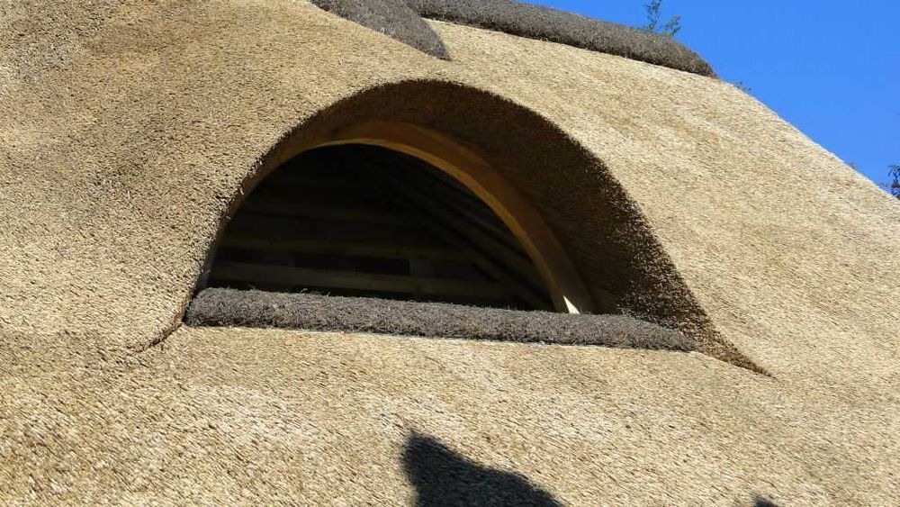 Renowacja dachów z trzciny. 20 lat doświadczenia. Cała Polska.