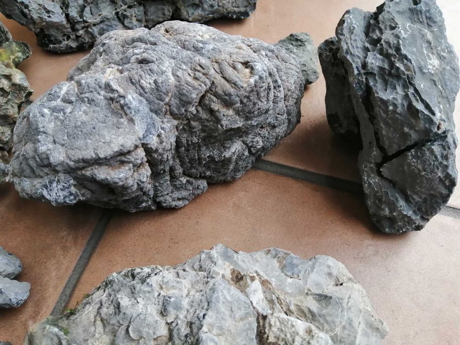 Canyon Ryohux aquascaping