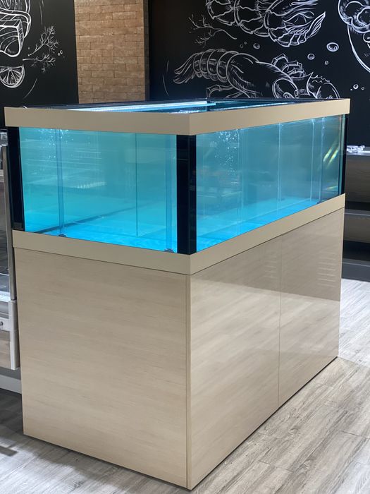Оренда (продаж) торгових акваріумів для УСТРИЦЬ ВІД 4500 грн/мІс