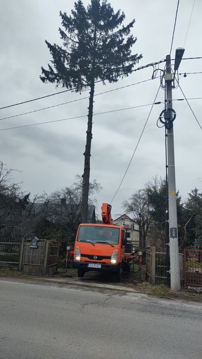 Wycinka drzew, podnośnik koszowy, zwyżka 21m