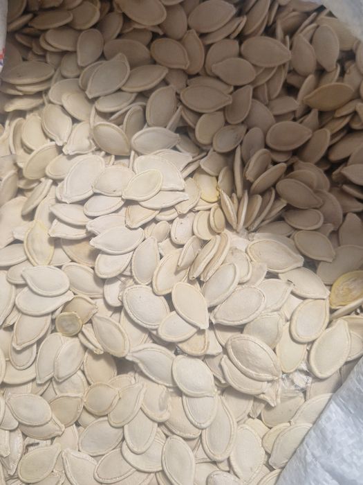 Продамо гарбузове насіння