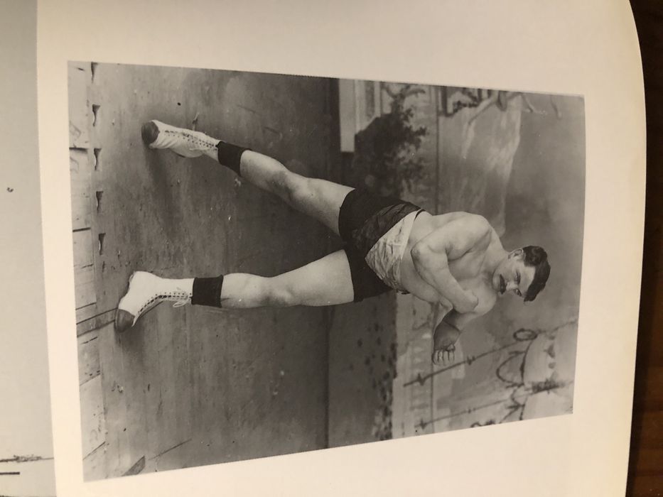 A queda da monarquia, maria filomena monica