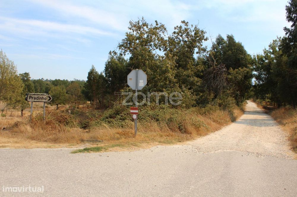 Terreno para construção e exploração agrícola em Paranhos da Beira...
