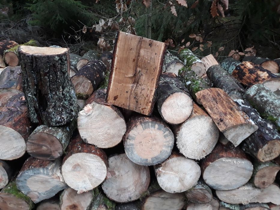 Opał-Drewno- Transport Gratis-WYCINKA DRZEW-sosna, świerk,olszyna,klon