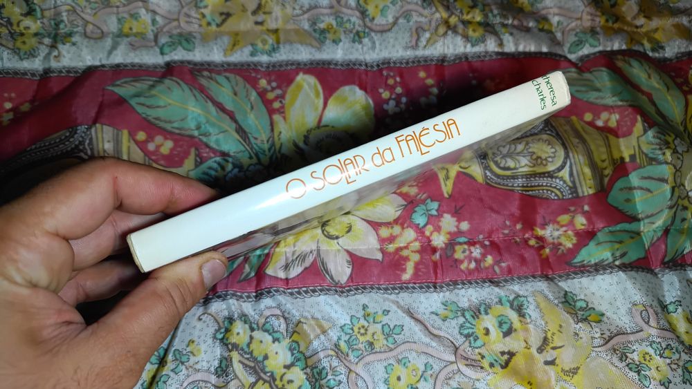 O solar da falésia_Theresa Charles