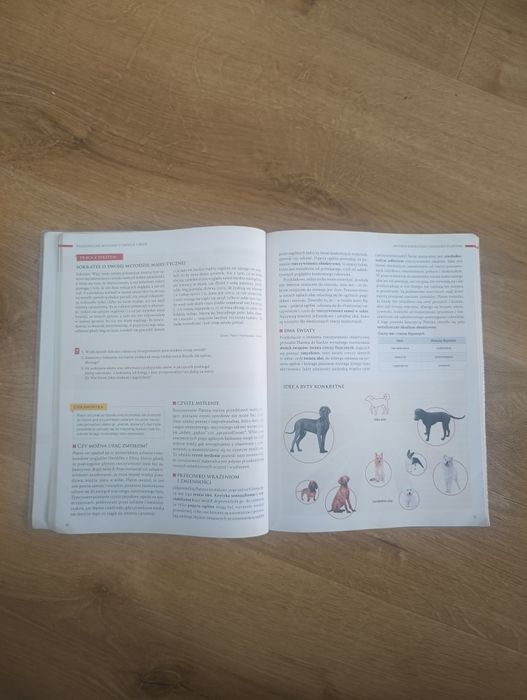 Podręcznik Spotkania z filozofią Nowa Era