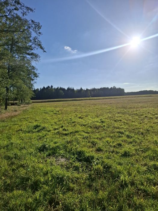 Ziemia rolna łąka z lasem