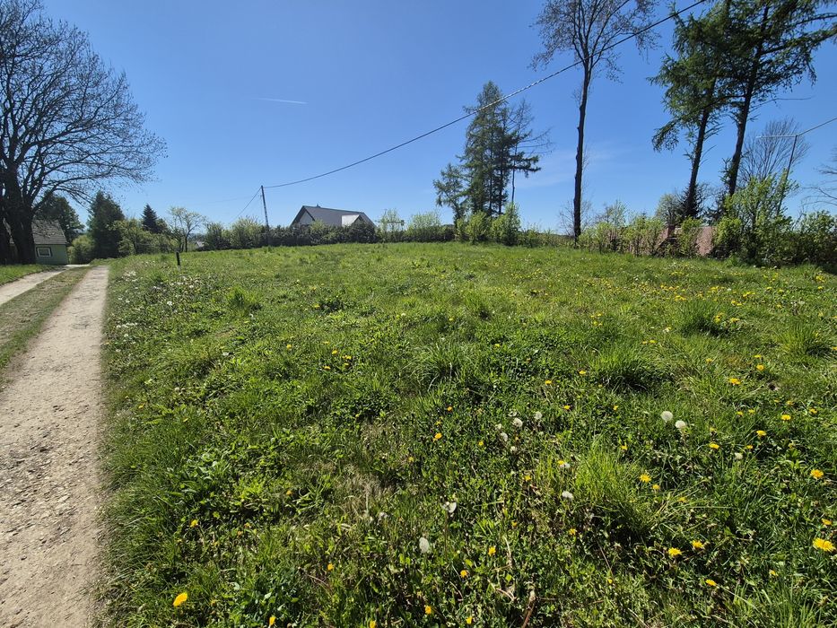 Działka 3000m2 - do wynajęcia