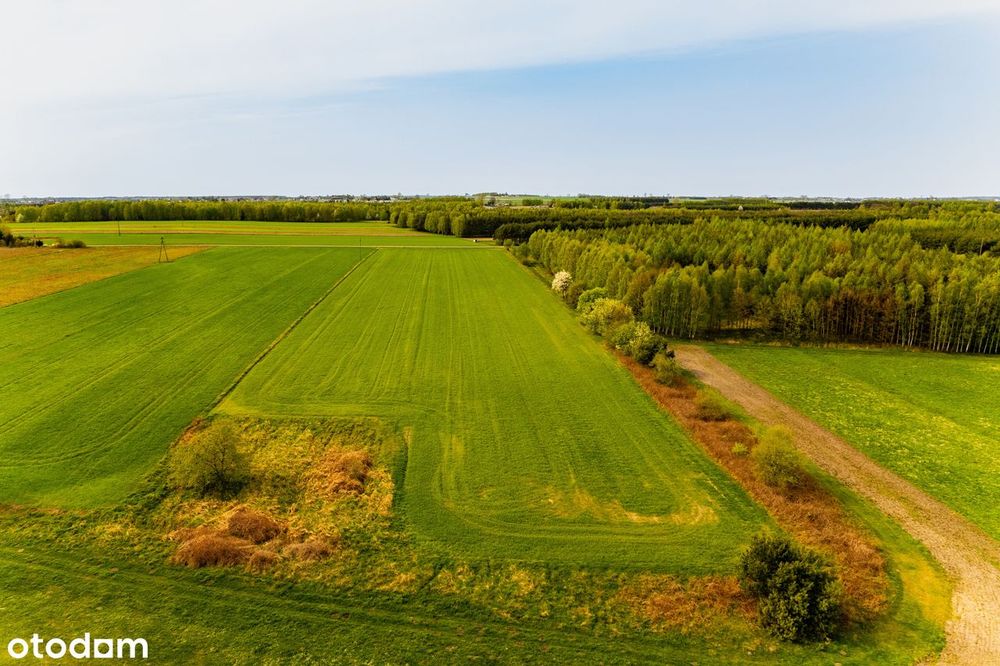 Radomsko Krępa pięknie położone działki MPZP blisko lasu dojazd asfalt