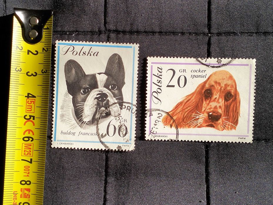 Znaczki pocztowe, tematyczne, Polska, Rasy psów