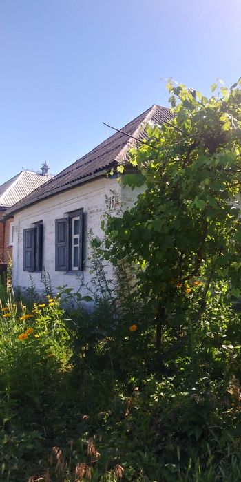 Будинок продаю в місті(здам)