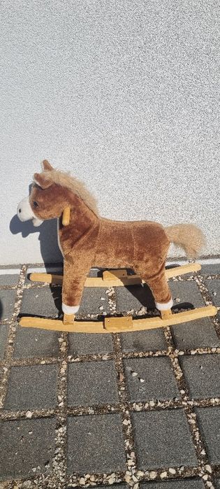 Konik na biegunach w dobrym stanie