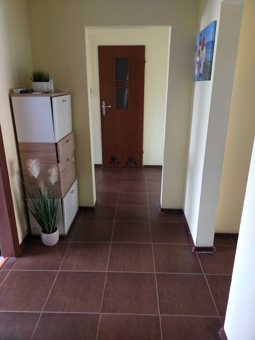 Zdjęcie 5