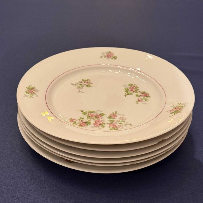 Set of 6 Early 1950s Vintage Plates by Vista Alegre