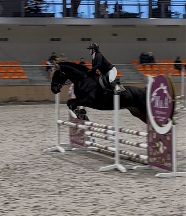 Loxy R  Cudowna Klacz