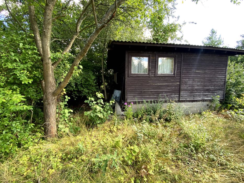 Działka ROD Szczaki 500 m² - Widok 2