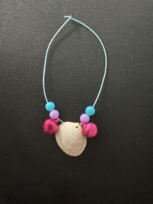 Pulseira e colar artesanal de conchas