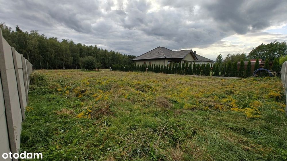 Działka 768 m² z MPZP w Rawiczu (Folwark), ul. Miodowa - Widok 3