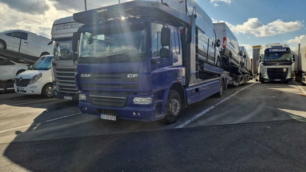 Autotransporter DAF/ROLFO