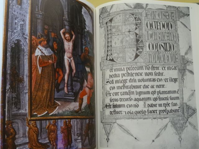 A Iluminura nos Descobrimentos de Pedro Dias