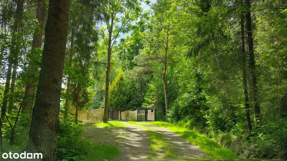Unikatowe położenie, góry, las, widoki, imponująca działka i dom