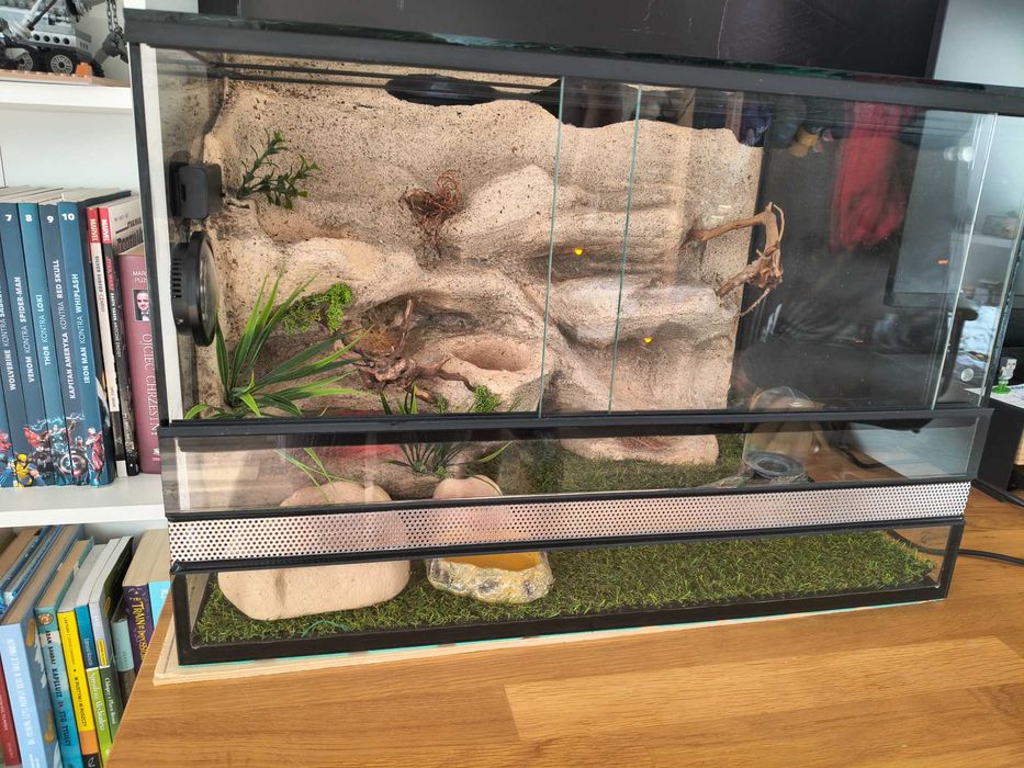 Terrarium dla gadów 60x40x40 cm