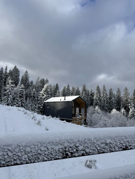 KUT HOUSE - стильний будиночок серед гір та лісу - Карпати  Подобовець