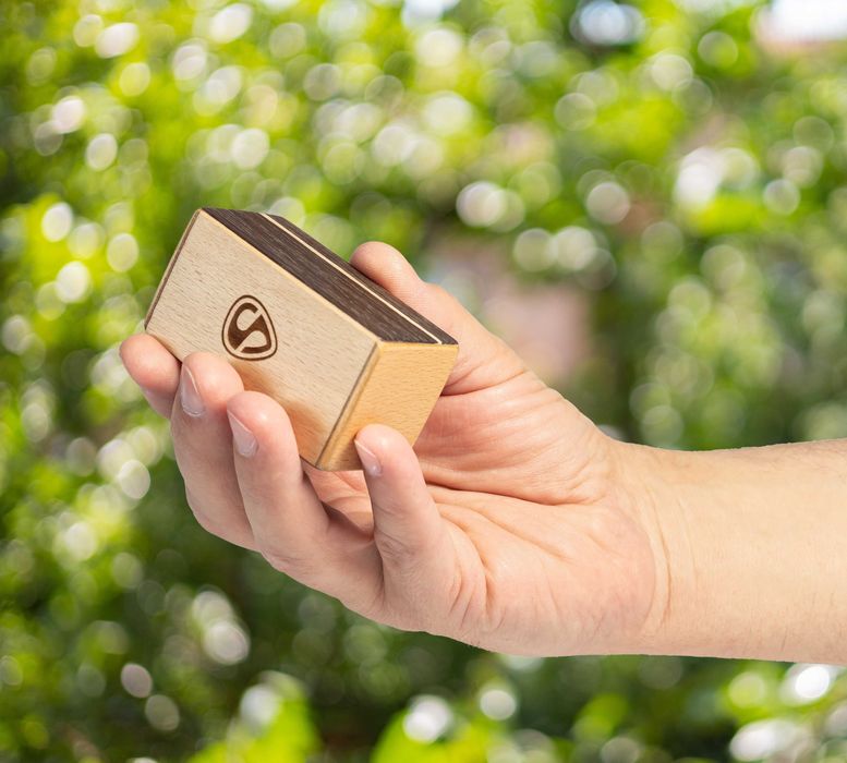 Набір дерев’яних шейкерів з чохлом