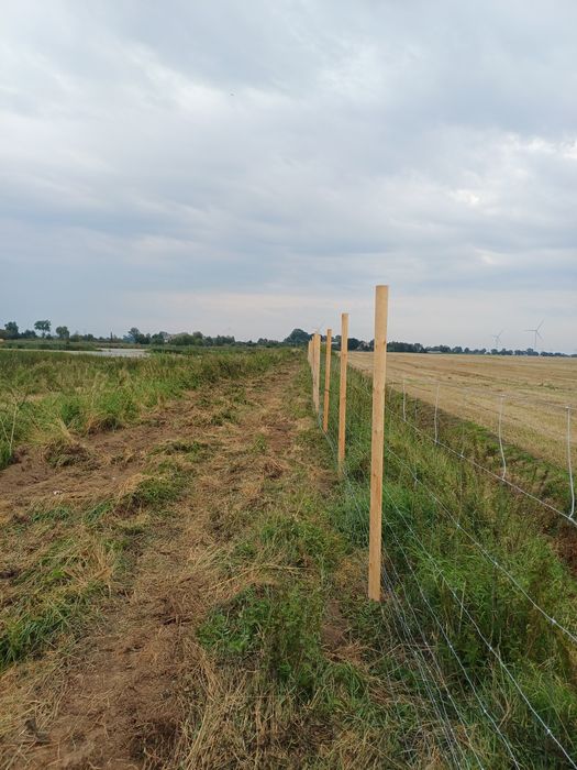 Ogrodzenia tymczasowe Leśne Budowlane