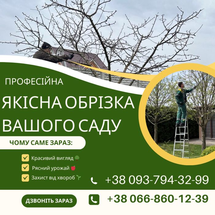 Обрізка дерев, стрижка огорож, спил дерев