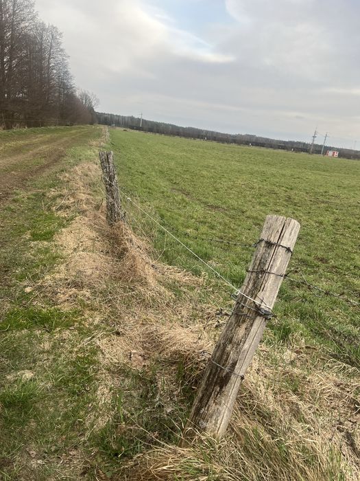 Działki na sprzedaż Myszyniec Wolkowe