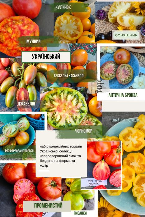 Набір насіння томатів "Український"